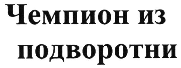 чемпион из подворотни