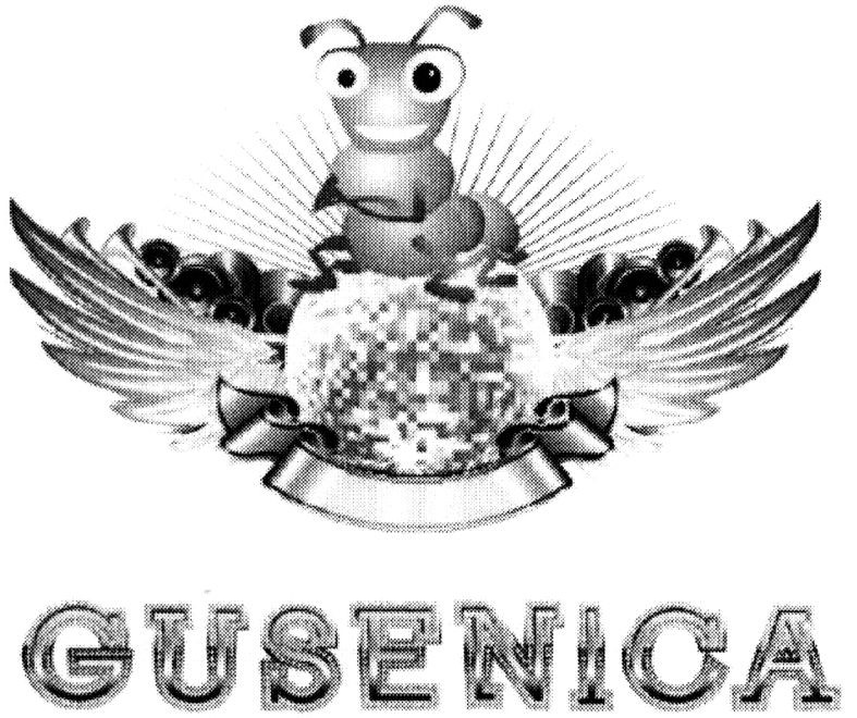 gusenica
