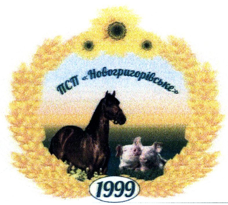 псп новогригорівське