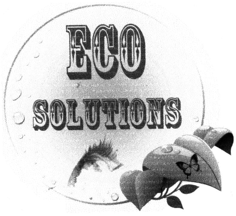eco solutions