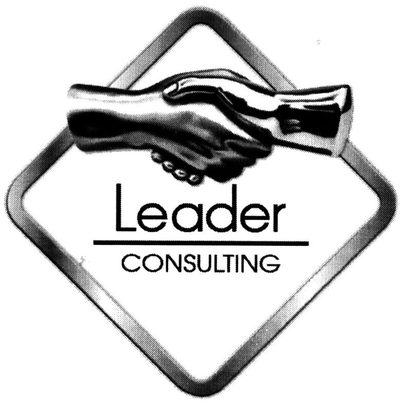 leader consulting