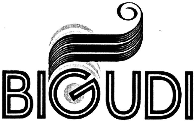 bigudi