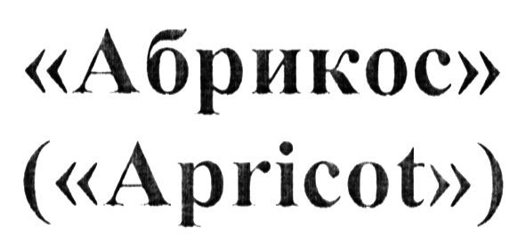 абрикос (apricot)