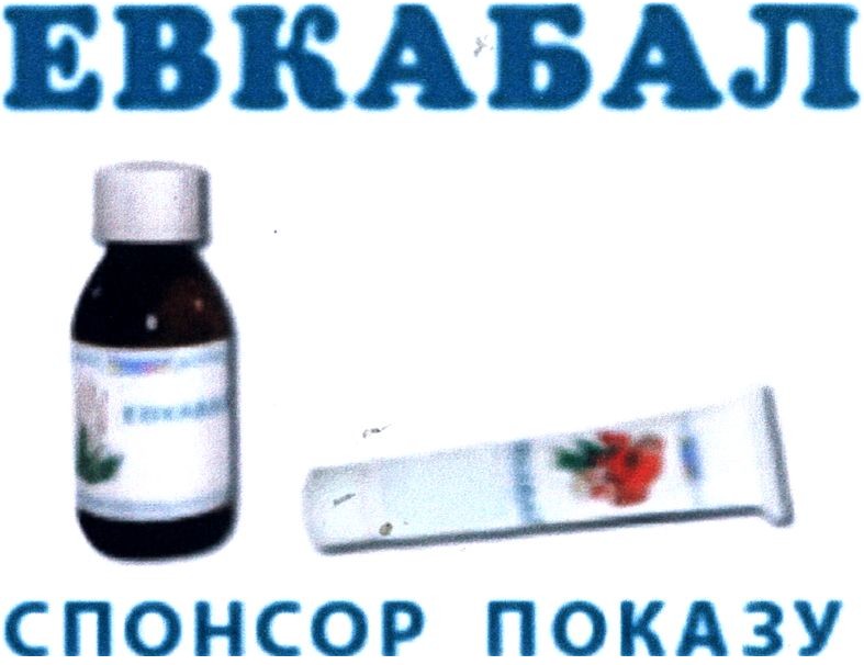 спонсор показу