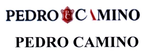 pedro camino
