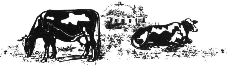 Фігуративна марка № 196471