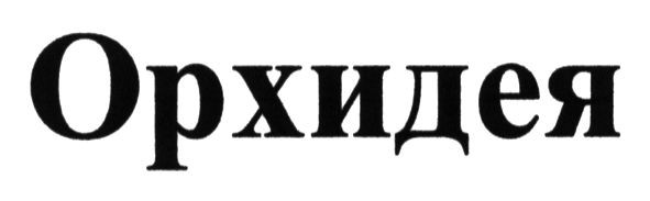 орхидея