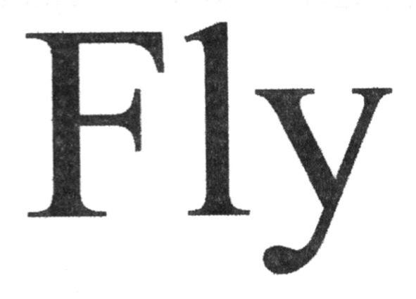 fly