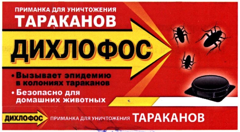 вызывает эпидемию в колониях тараканов