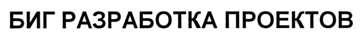 биг разработка проектов