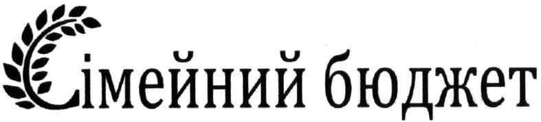 сімейний бюджет