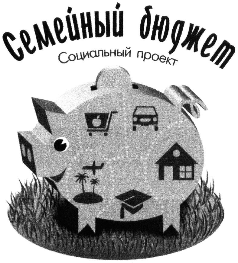 социальный проект