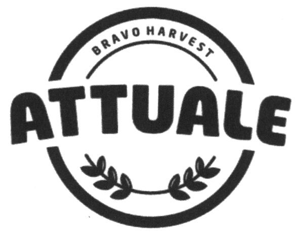 bravo harvest