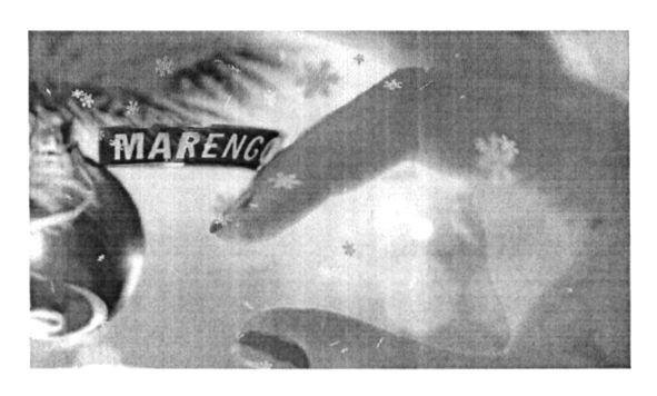 marengo