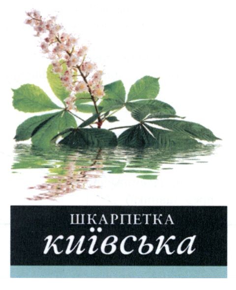шкарпетка київська