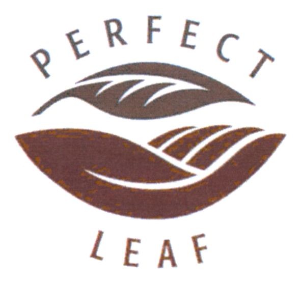 perfect leaf
