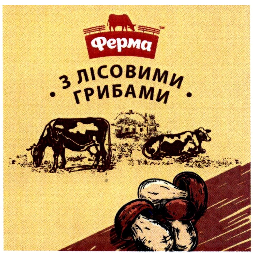 з лісовими грибами