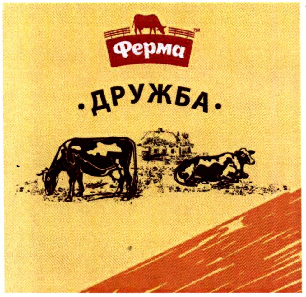 дружба