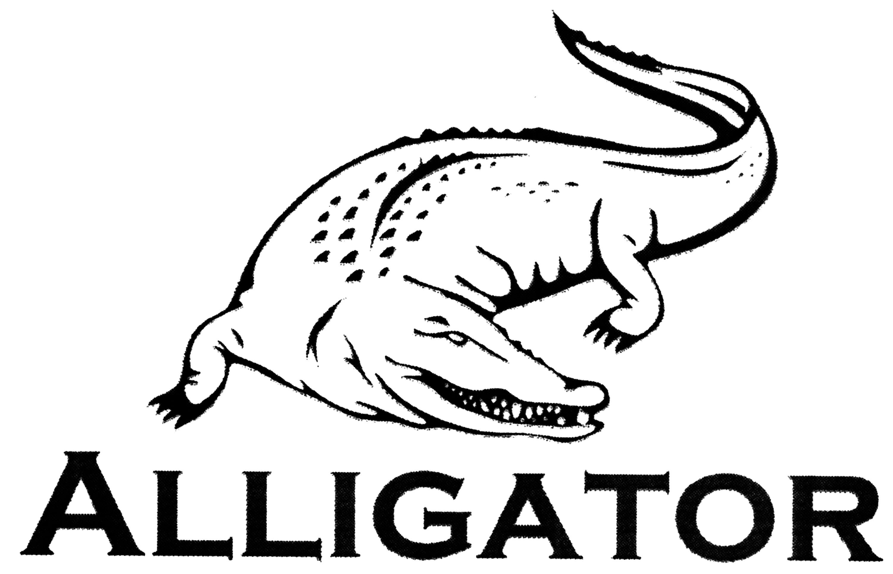 alligator