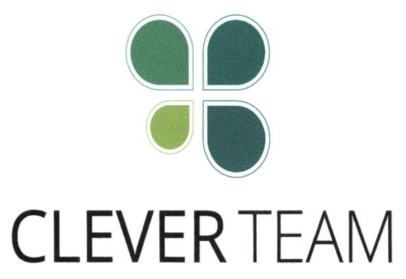 clever team