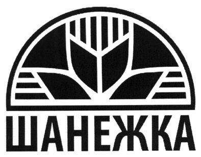 шанежка