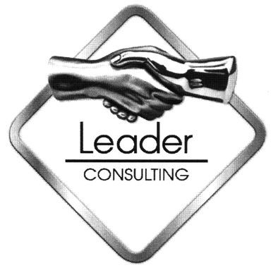 leader consulting