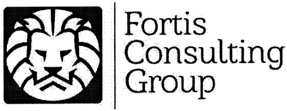 fortis consulting group