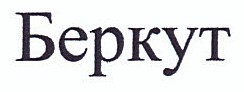 беркут