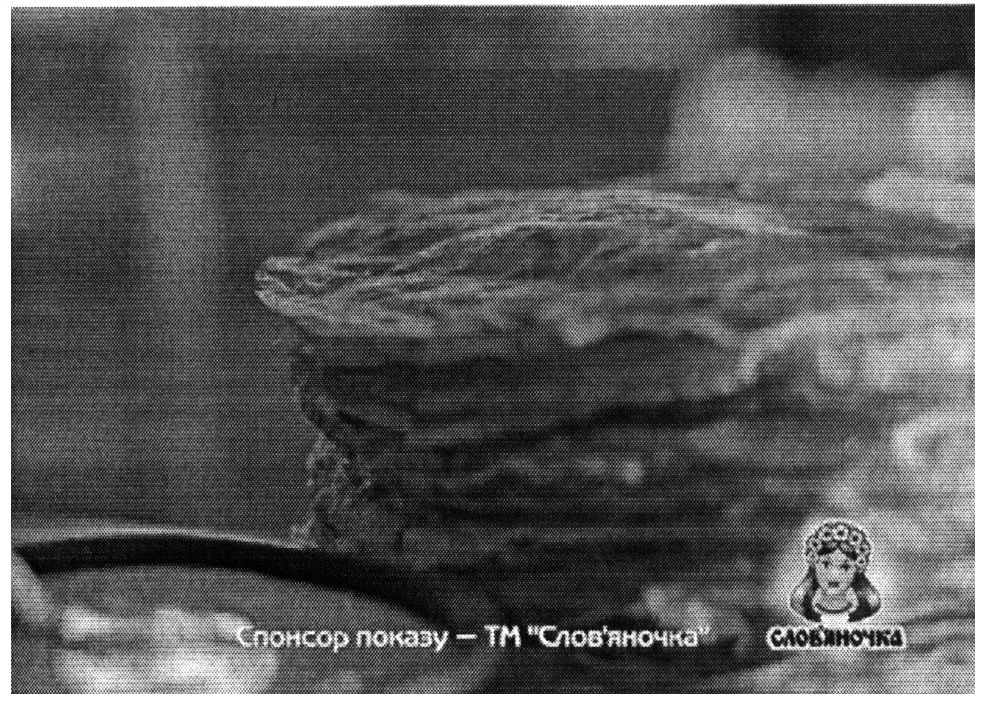 спонср показу-тм слов`яночка