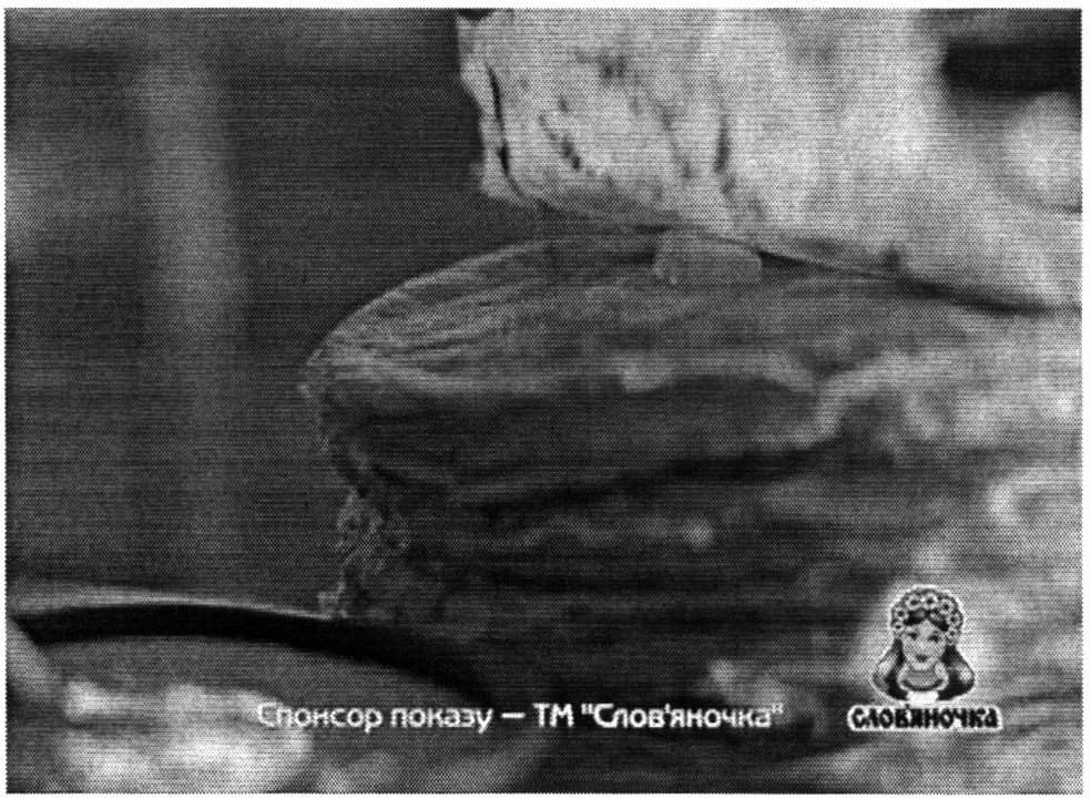 спонсор показу-тм слов`яночка