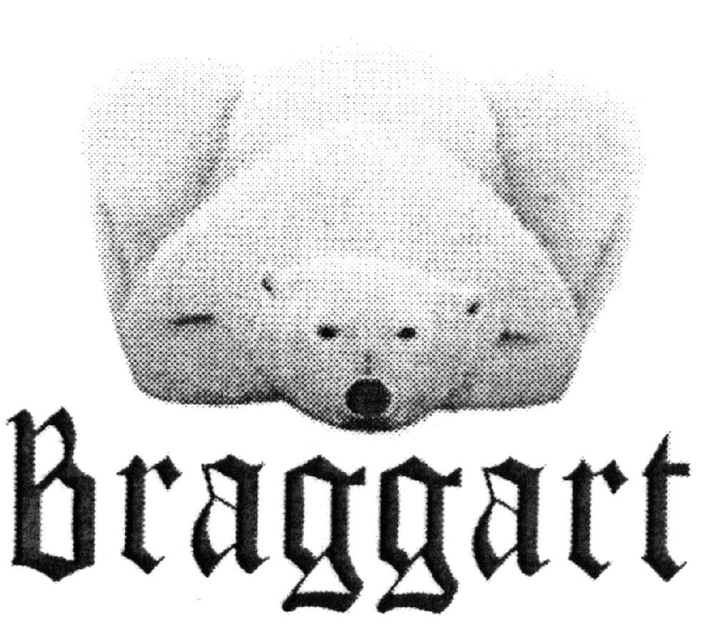 braggart