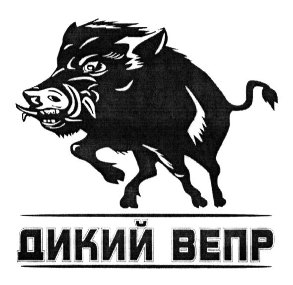 дикий вепр