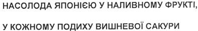 насолода японією у наливному фрукті, у кожному подиху вишневої сакури