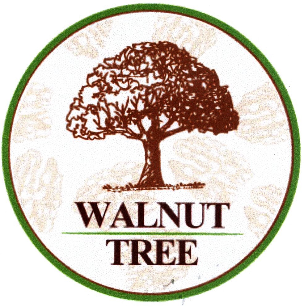 walnut tree