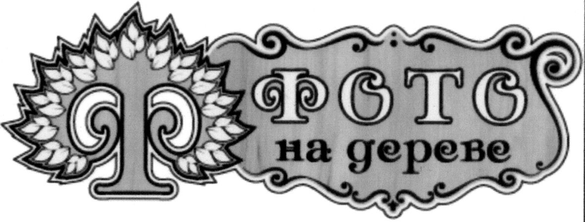 фото на дереве