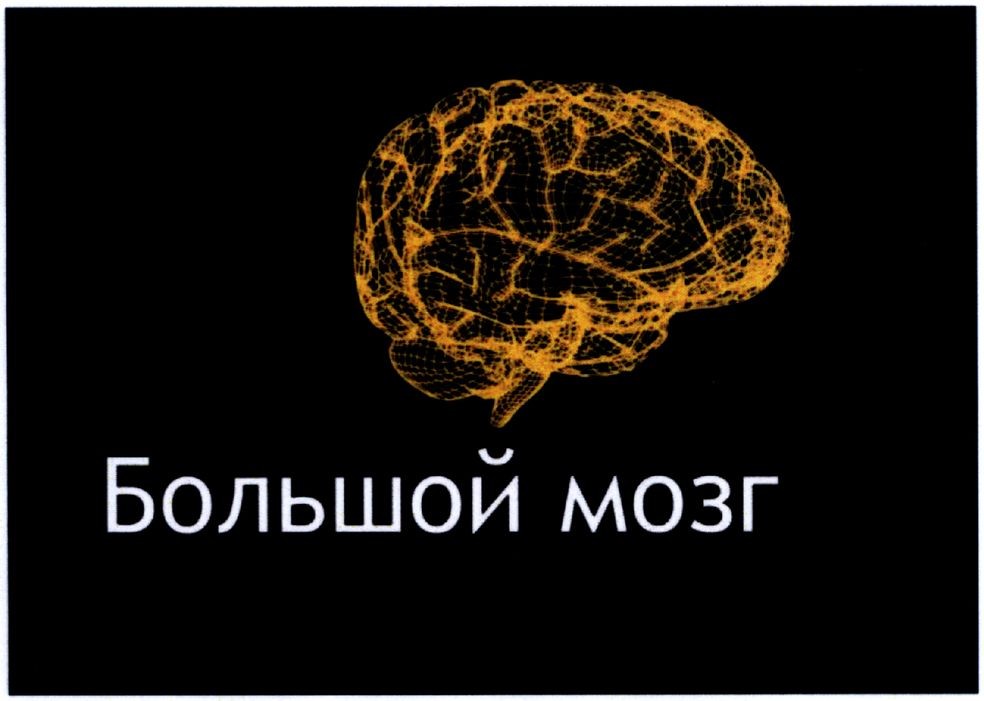 большой мозг