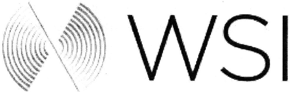 wsi