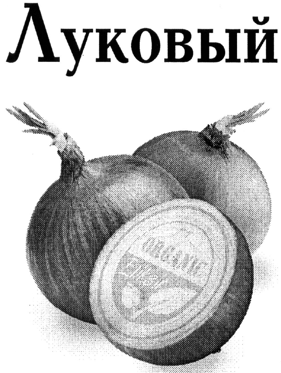 луковый