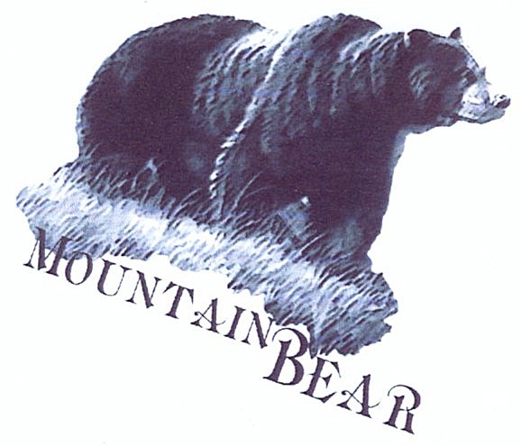 mountain bear