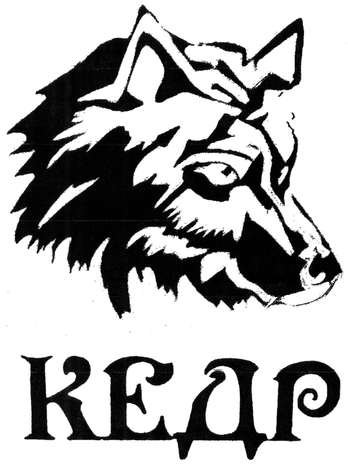 кедр