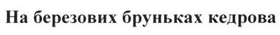 на березових бруньках кедрова