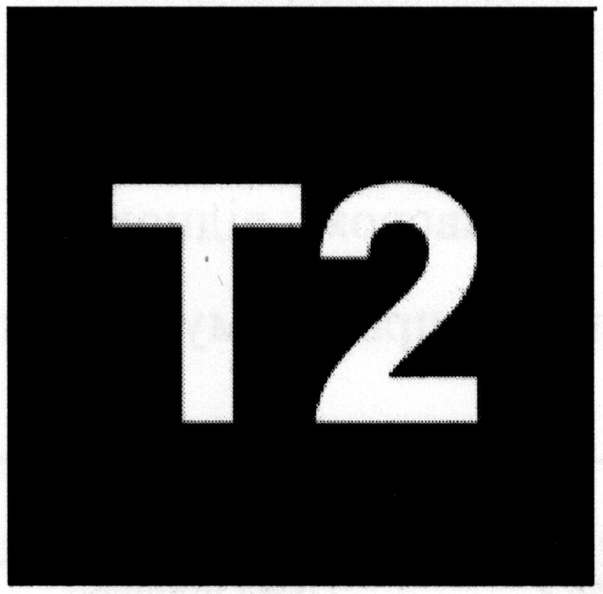 t2