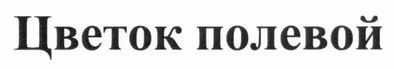 цветок полевой