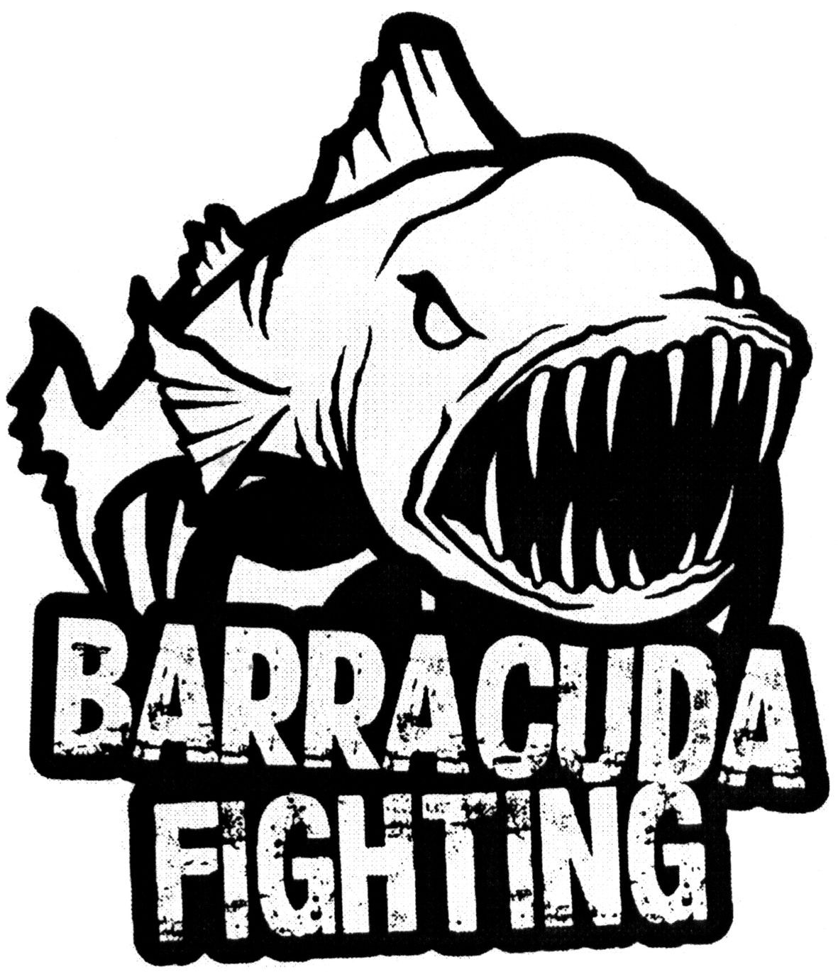 barracuda fighting