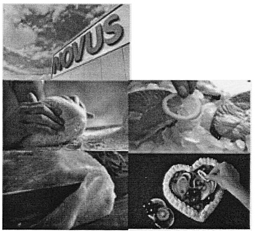 novus