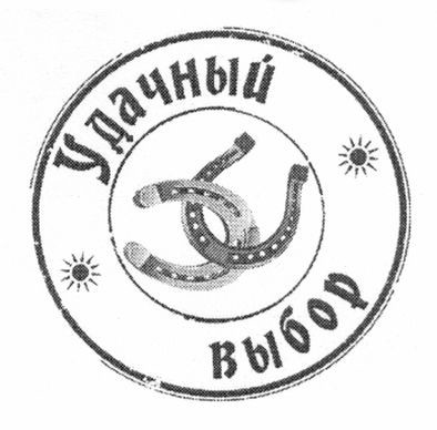удачный выбор