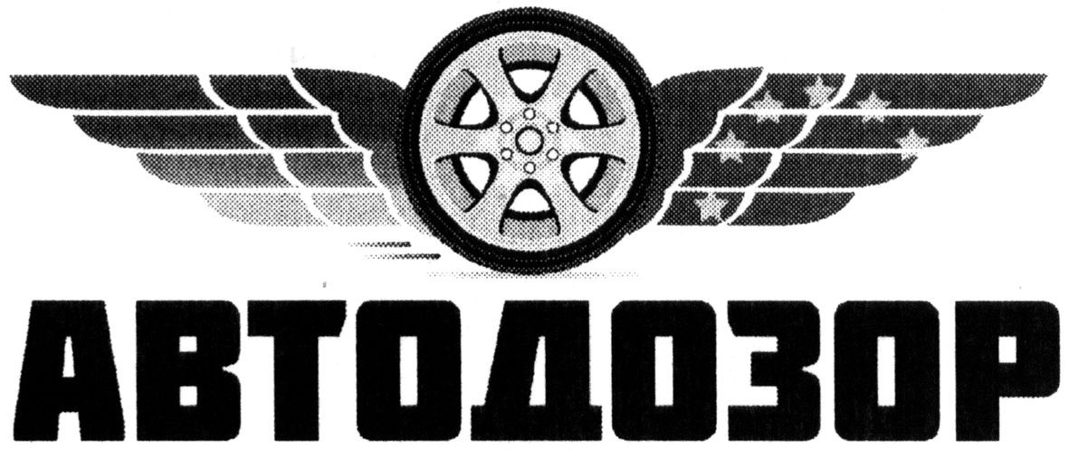 автодозор