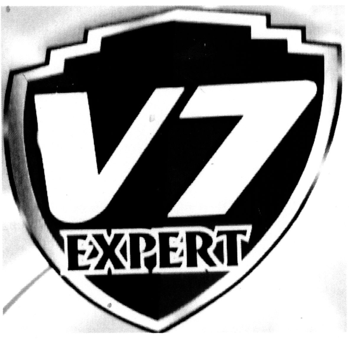 v7 expert