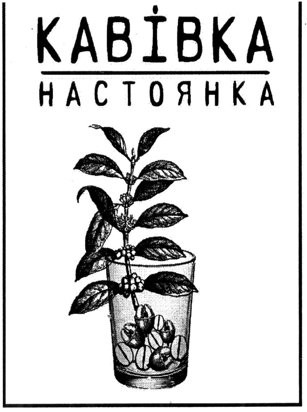 настоянка