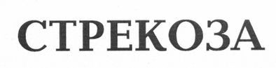 стрекоза